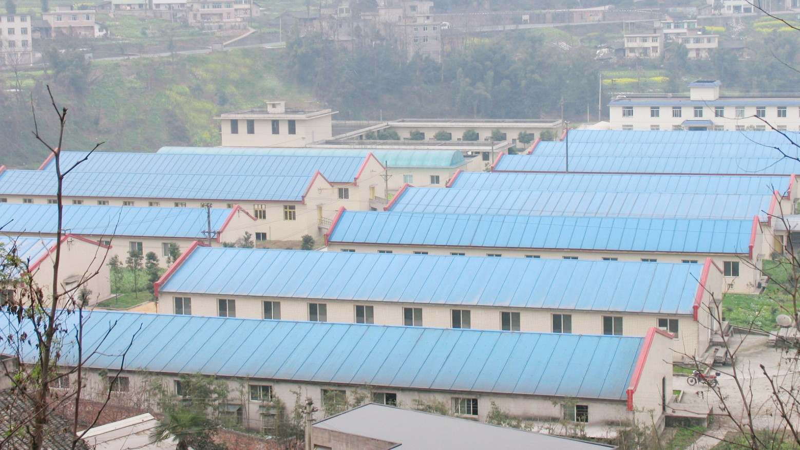 四川省畜禽营养与饲料工程实验室