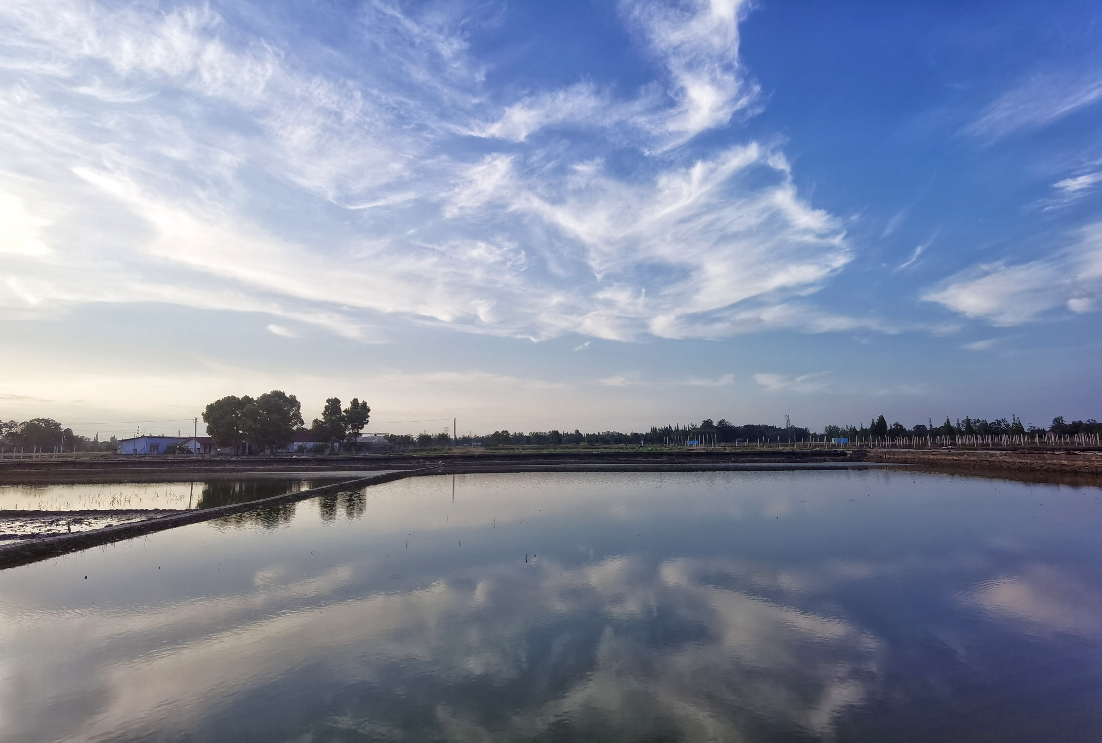 秧田夕照 秧田夕照