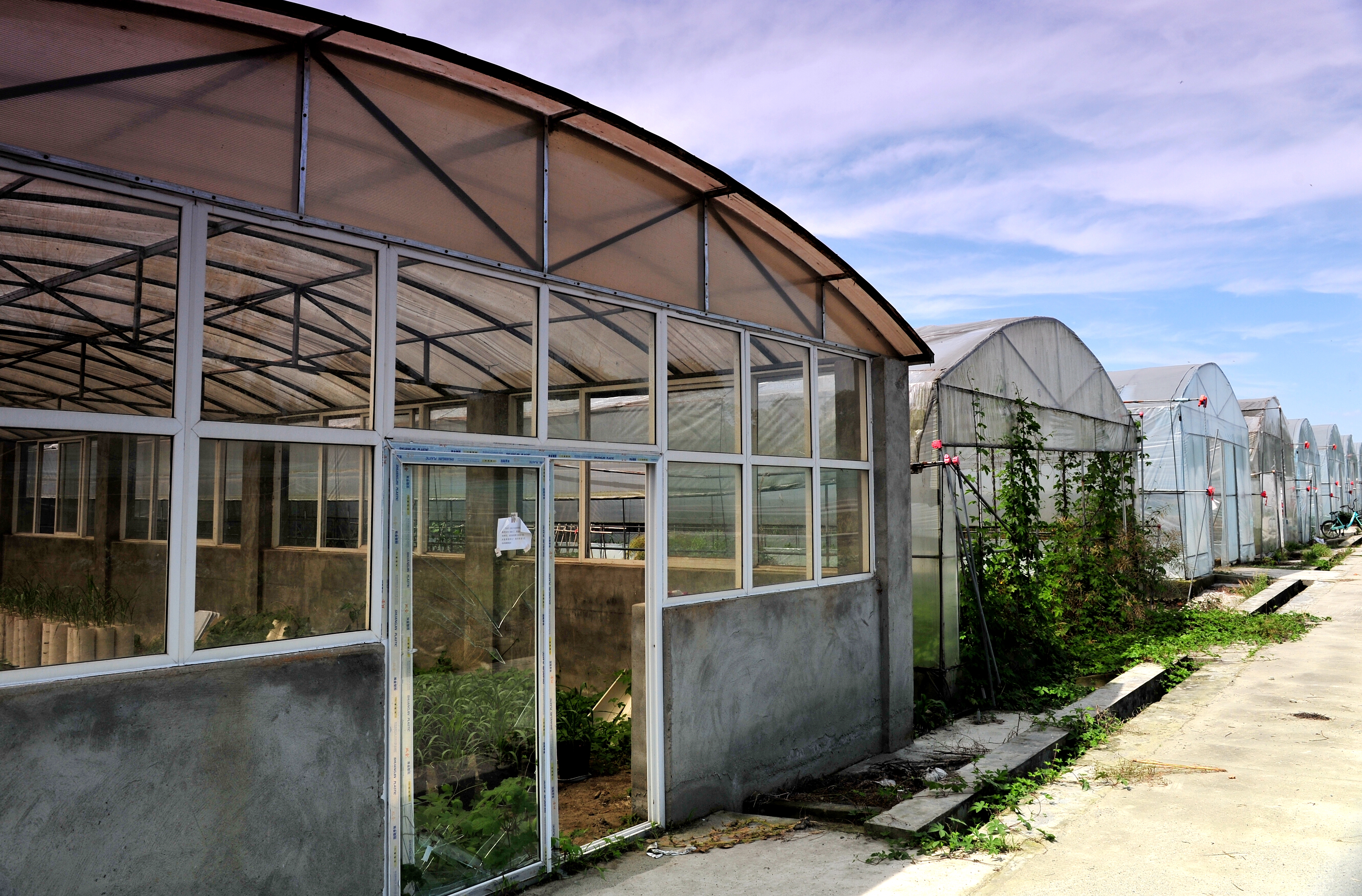 转基因基地温室 转基因基地温室