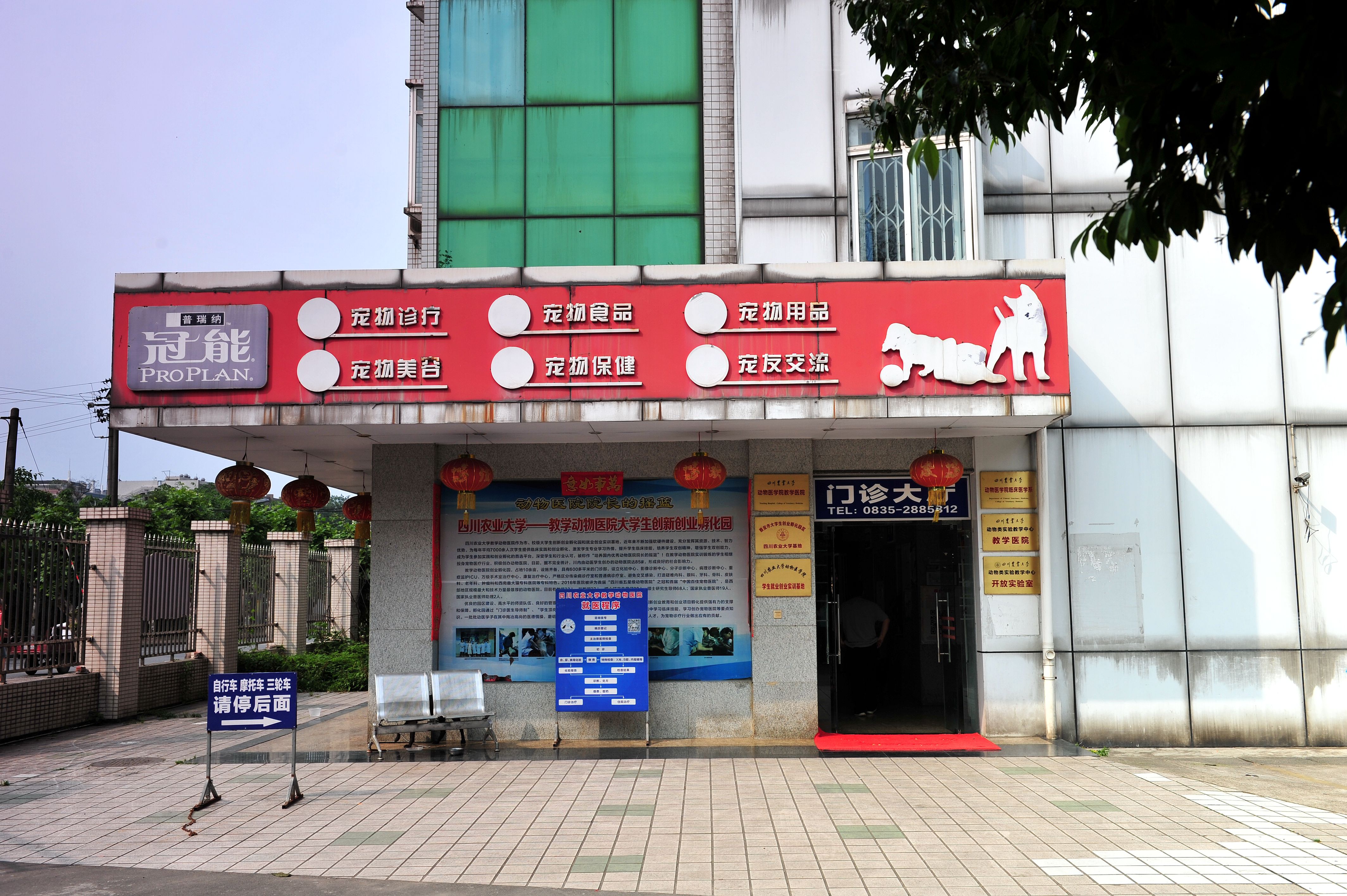 雅安动物医院 雅安动物医院