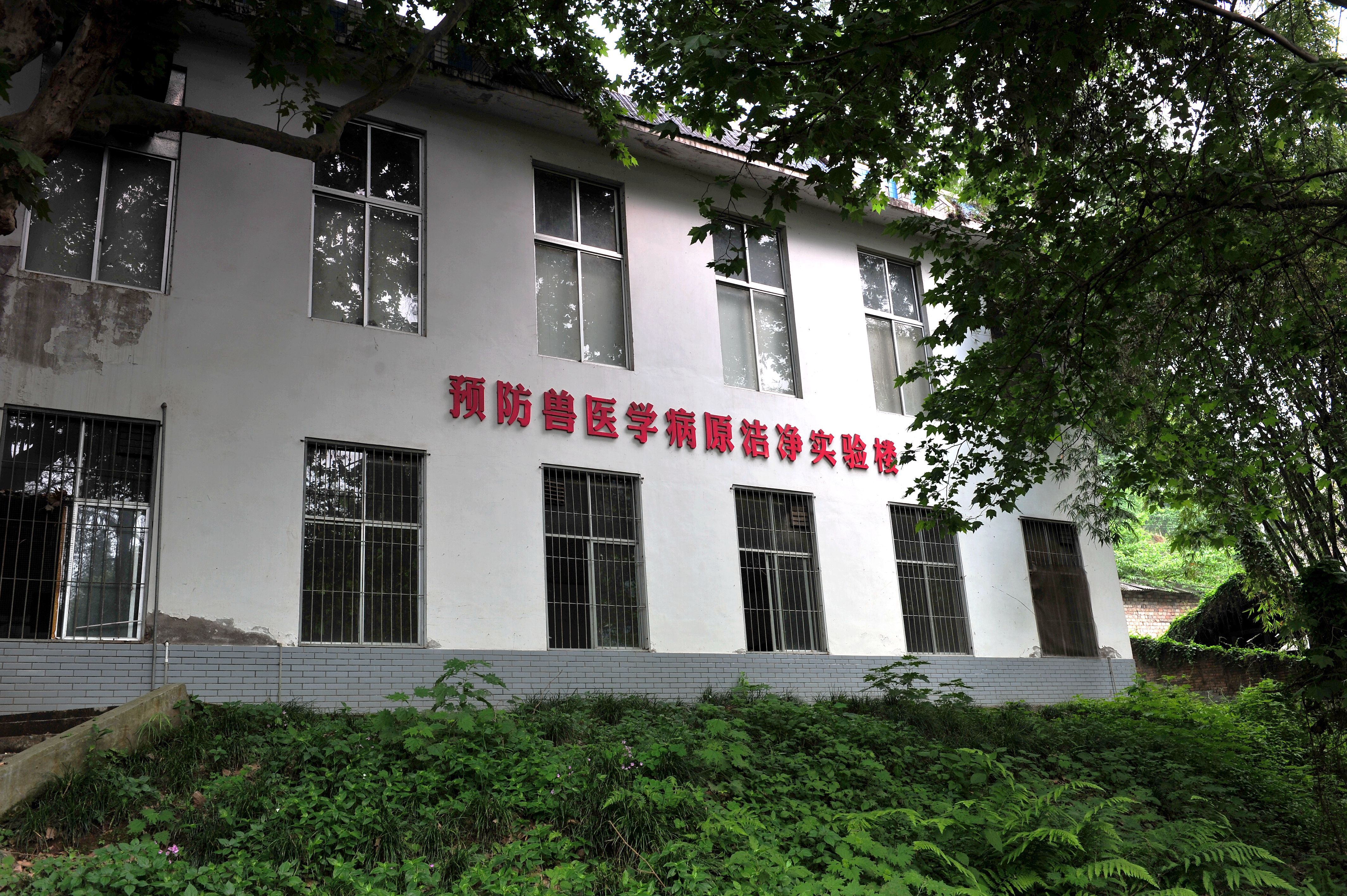 雅安动物医院 雅安动物医院