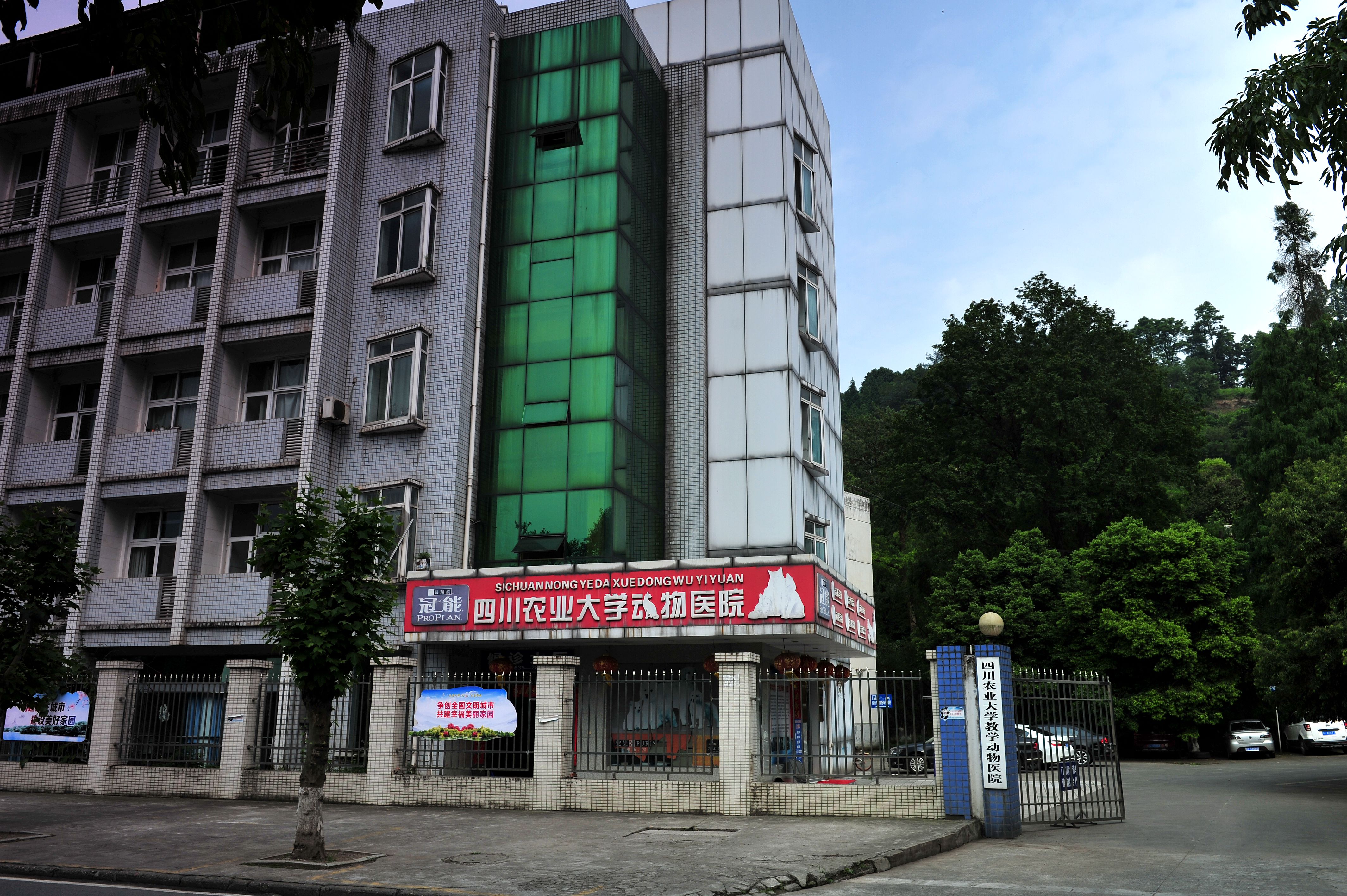 雅安动物医院 雅安动物医院