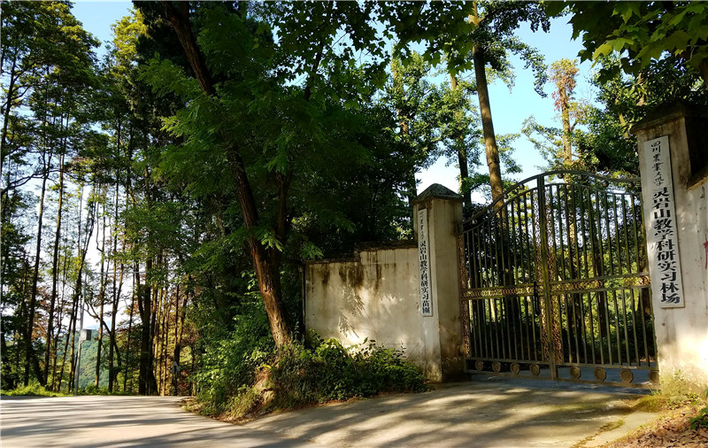 林场大门 林场大门