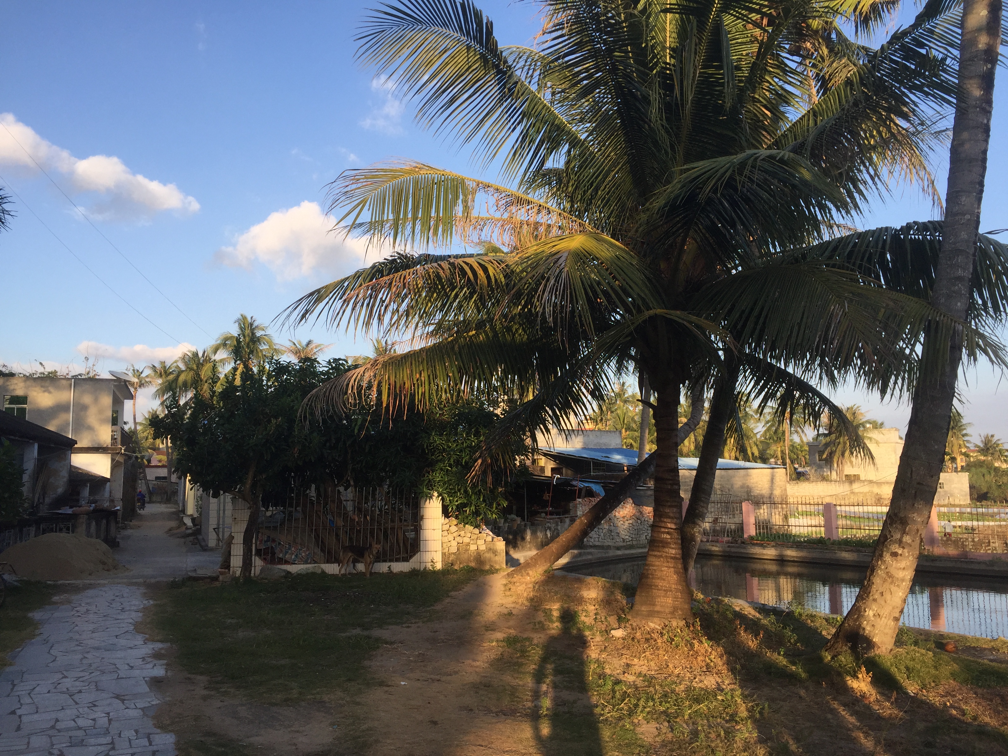 基地环境 基地环境