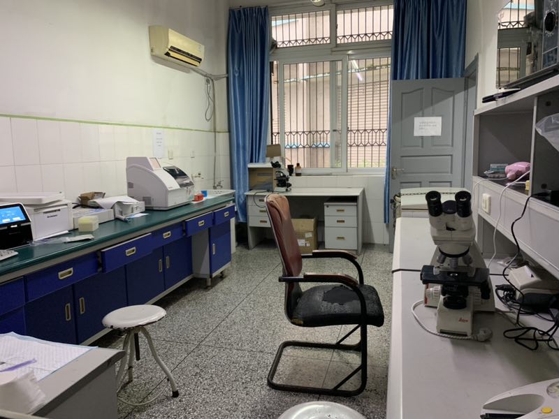 动物手术中 动物手术中