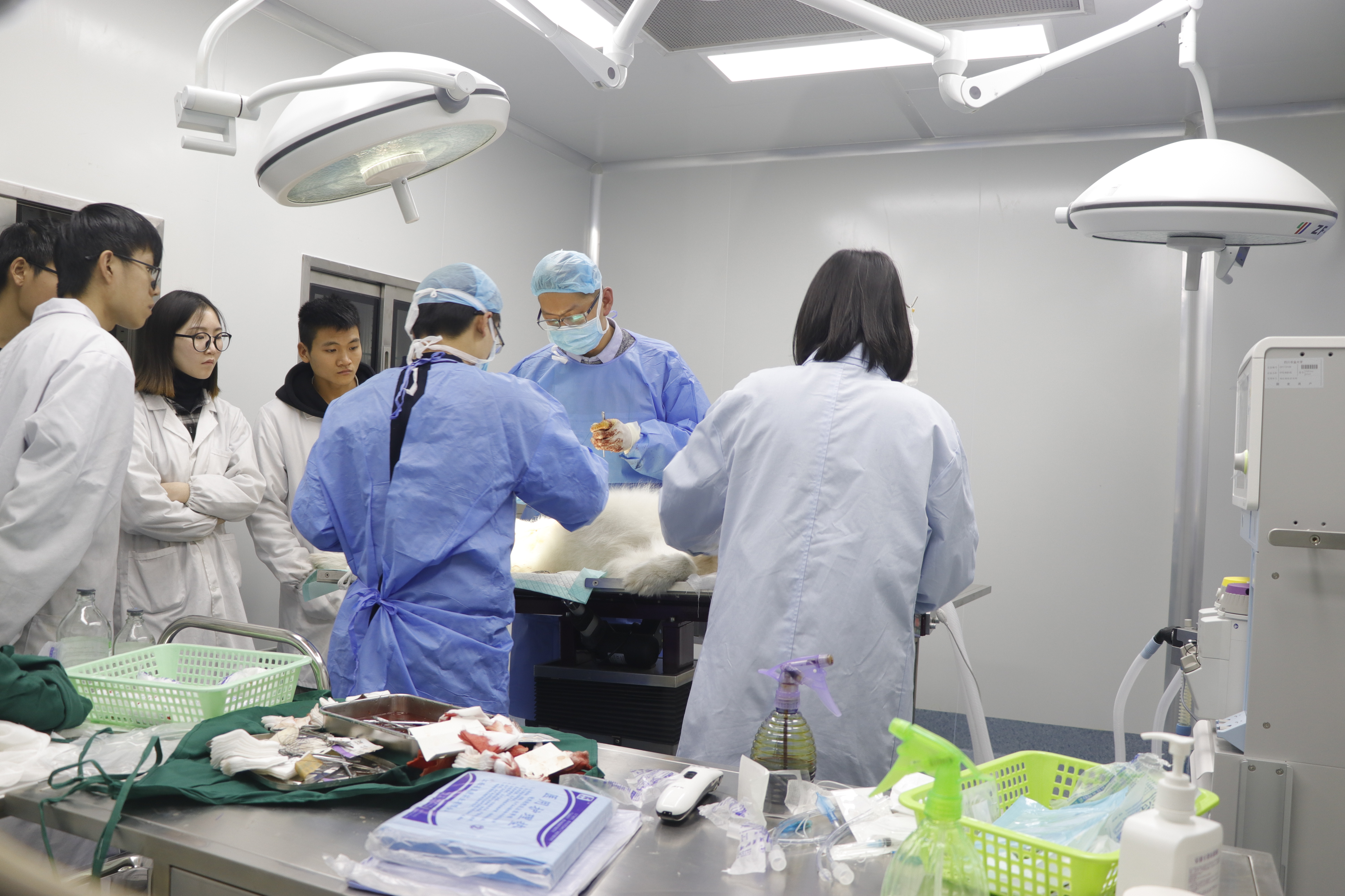 医院设备 医院设备