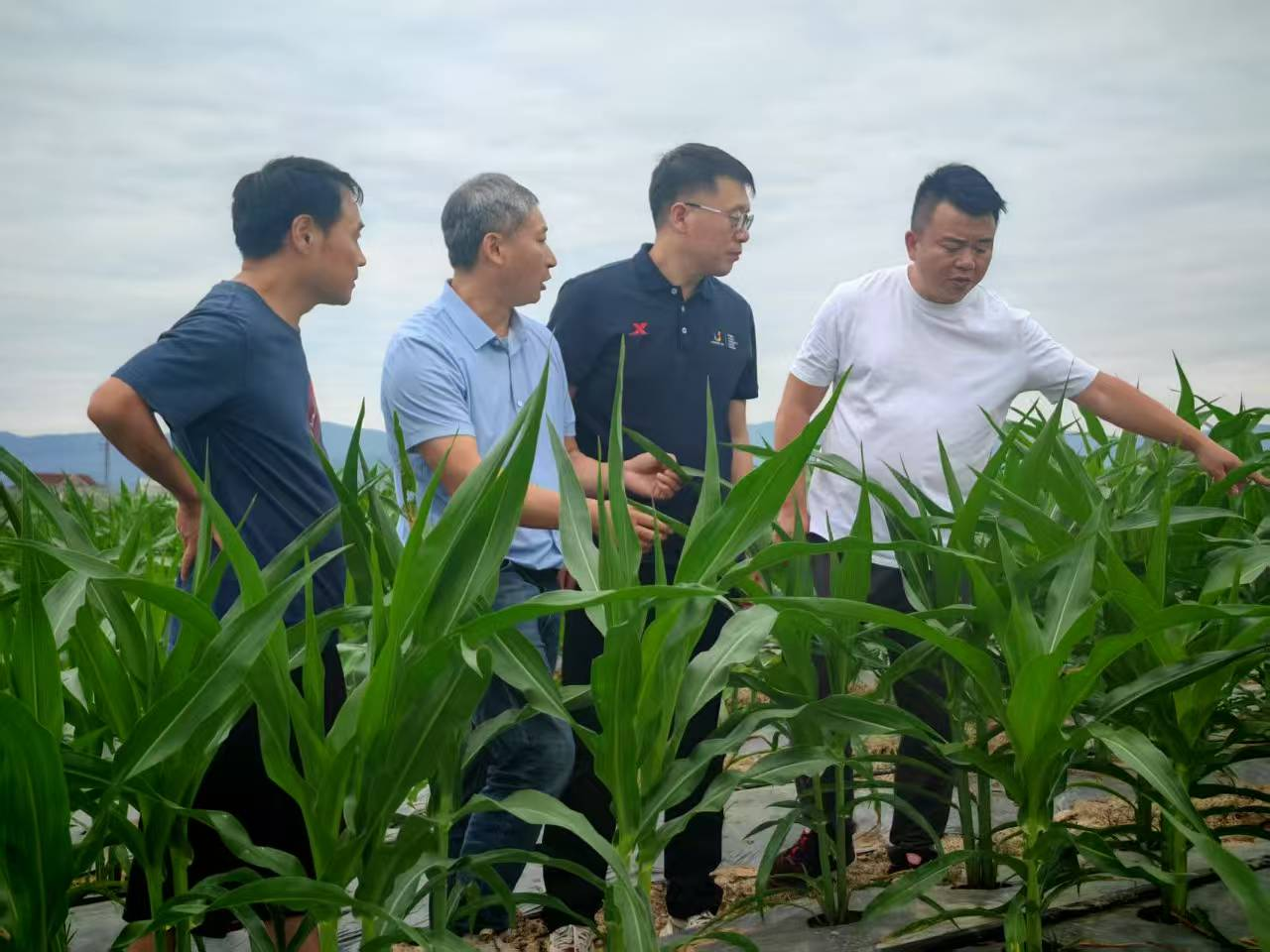 725c9909aa4779f9271f1985864586b4.png 725c9909aa4779f9271f1985864586b4.png